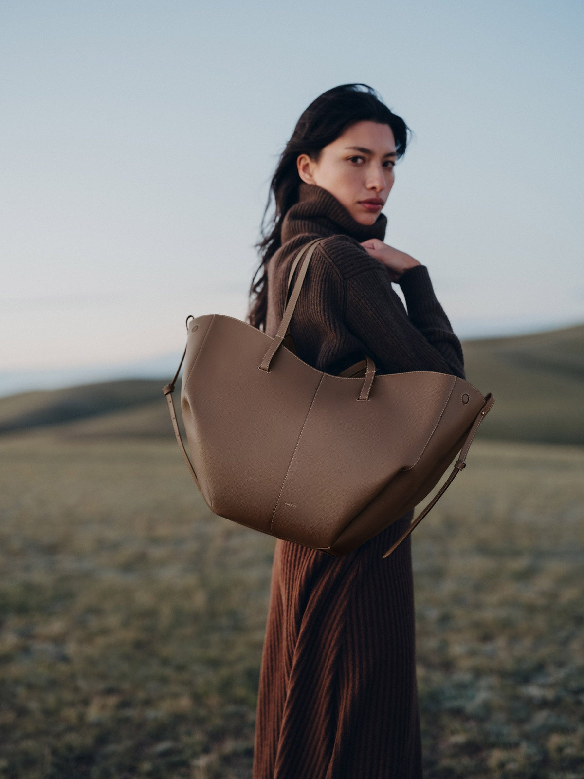 Brown Large Tote Bag for Women
