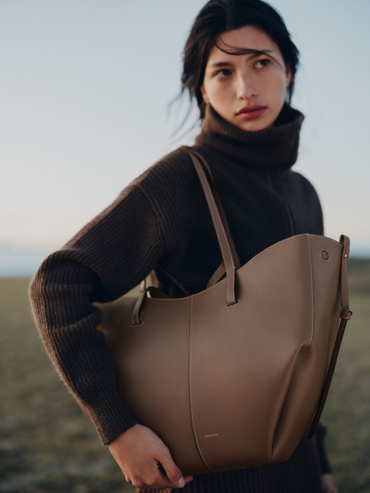 Brown Large Tote Bag for Women