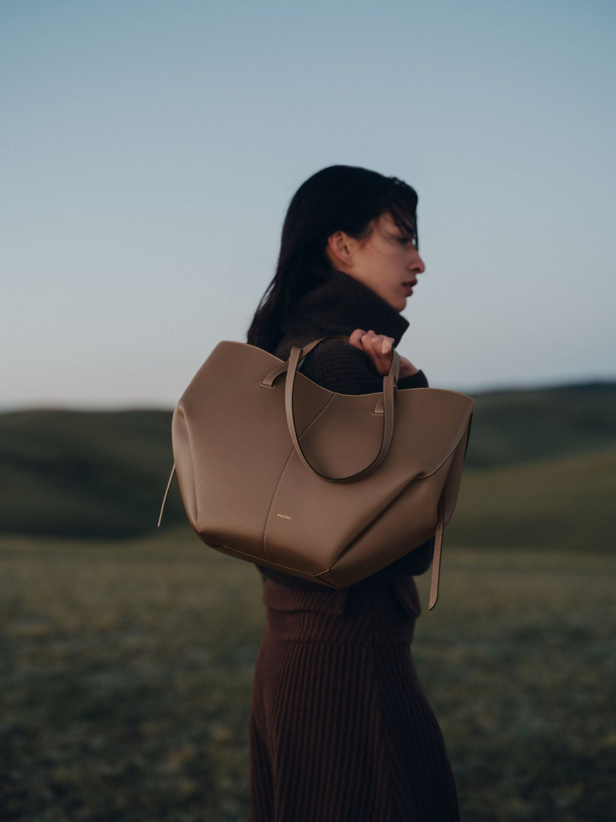 Brown Large Tote Bag for Women