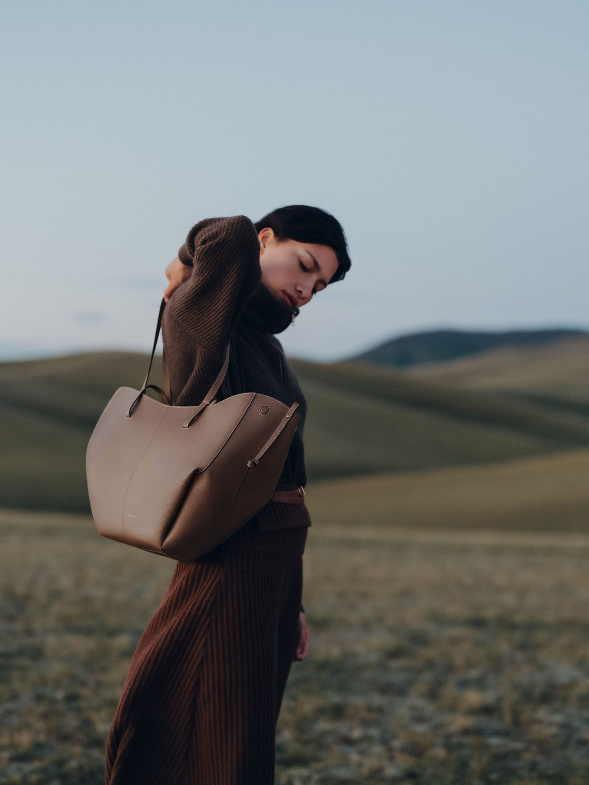 Brown Large Tote Bag for Women